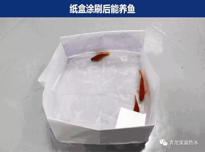 衛(wèi)生間滲漏維修太復(fù)雜，用這種產(chǎn)品老師傅都驚呼神奇！[附視頻](圖1)